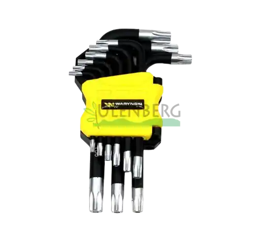 Niska cena ZESTAW KLUCZY TORX T10-T50
