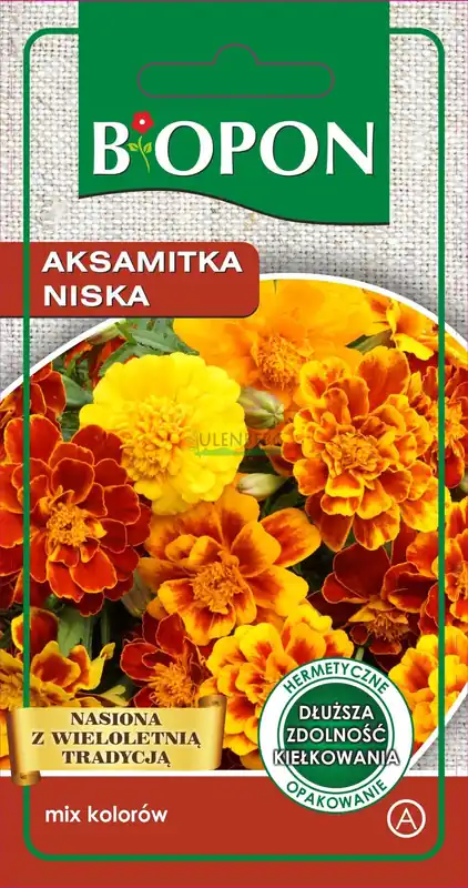 Ograniczona ilość BOPON - AKSAMITKA NISKA - MIESZANKA 1G