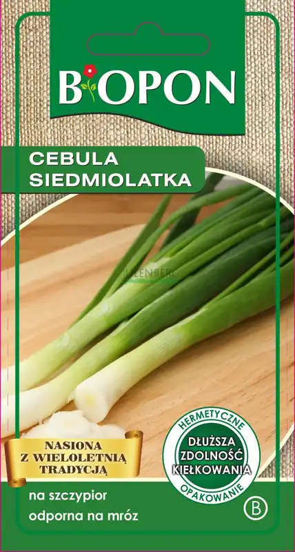 Darmowa dostawa BOPON - CEBULA SIEDMIOLATKA - NASIONA 0,5G