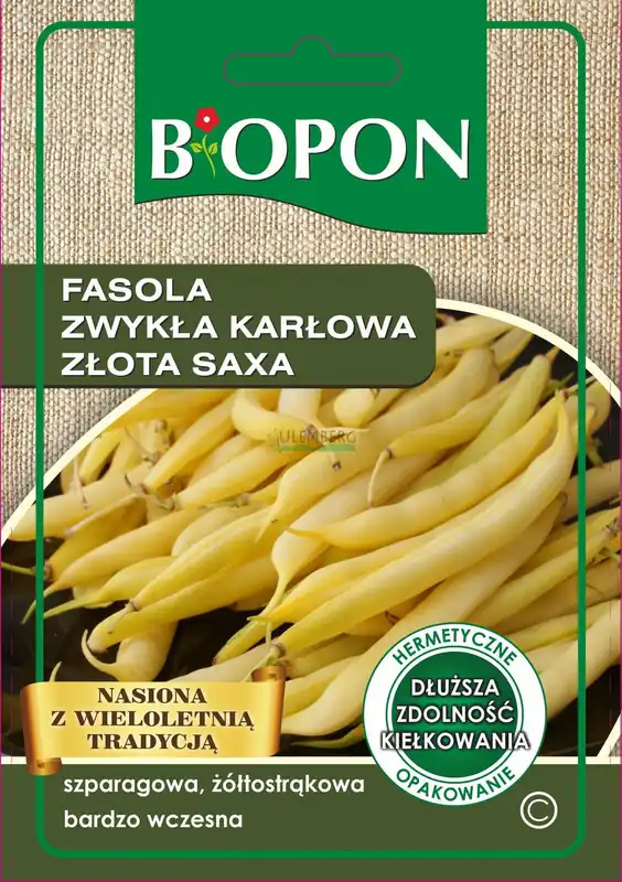 BOPON - FASOLA ZWYKŁA KARŁOWA ZŁOTA SAXA - NASIONA 22G Szybka dostawa