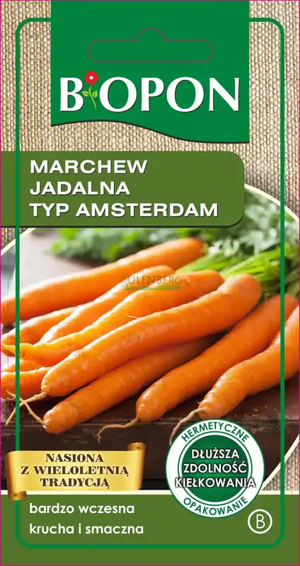 BOPON - MARCHEW JADALNA AMSTERDAM - NASIONA 4G Dodaj do koszyka