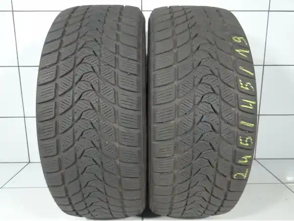 Wysoka jakość Delinte Winter WD1 245/45R19 98 S