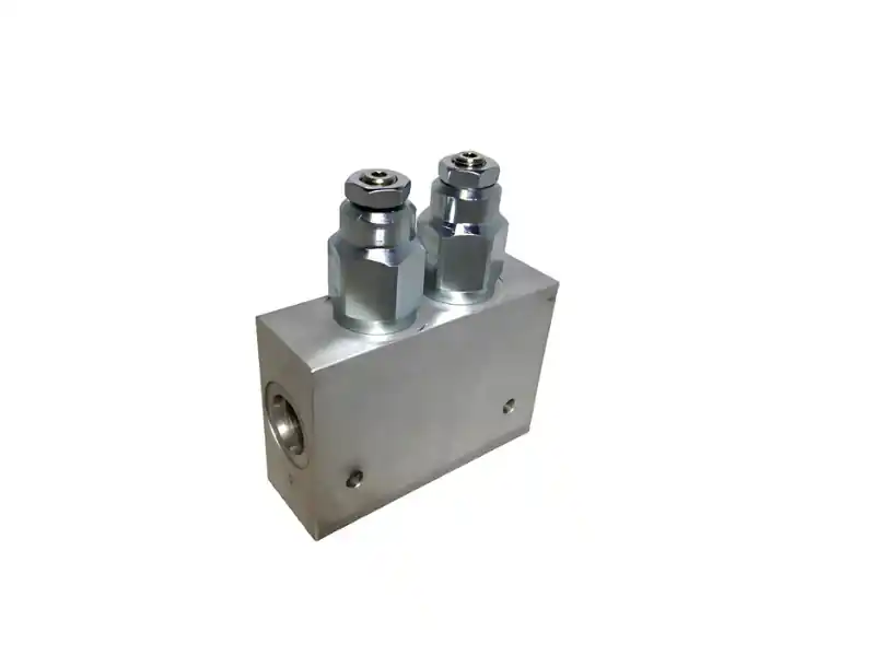 Szybka wysyłka Zawór hamujący DCB10-HV-1-A-1-45-B-SE4B