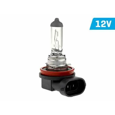 Żarówka VISION H11 12V 55W PGJ19-2 U E4 Promocja
